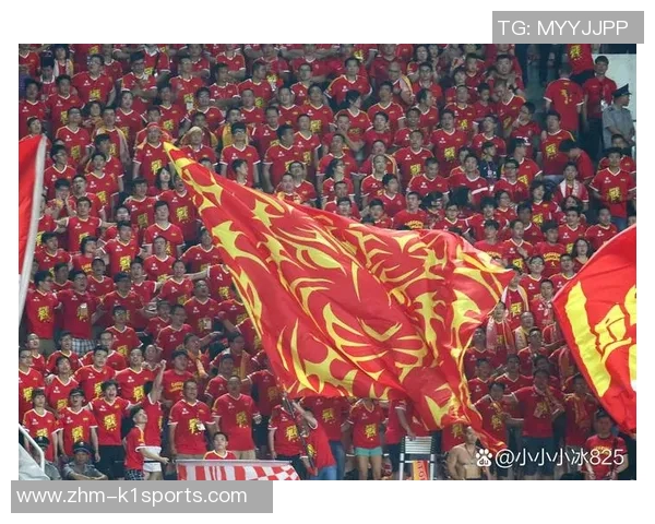 足球日盛典欢庆全球热爱足球的心声与激情交汇的时刻